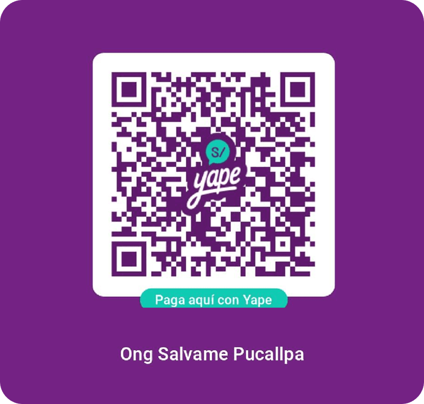 scan